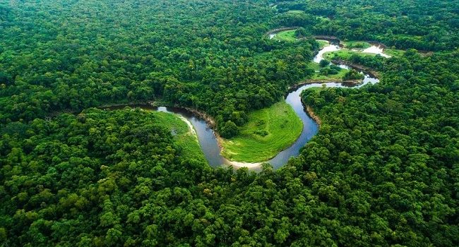 Grow Billion Trees: A Global Crusade Against Climate Change Led by Indian Army Veterans