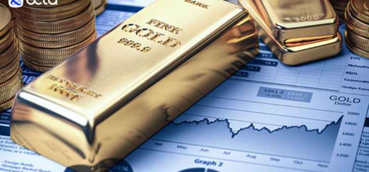 Octa Provides Expert Analysis for 2024 for Global Economic Trends and Gold Prices