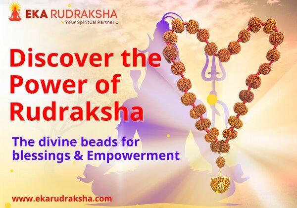 The Ultimate Source for Authentic Rudraksha is now Online | Discover www.ekarudraksha.com with 25 years of Expertise